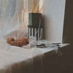 Soft light filtering through curtains